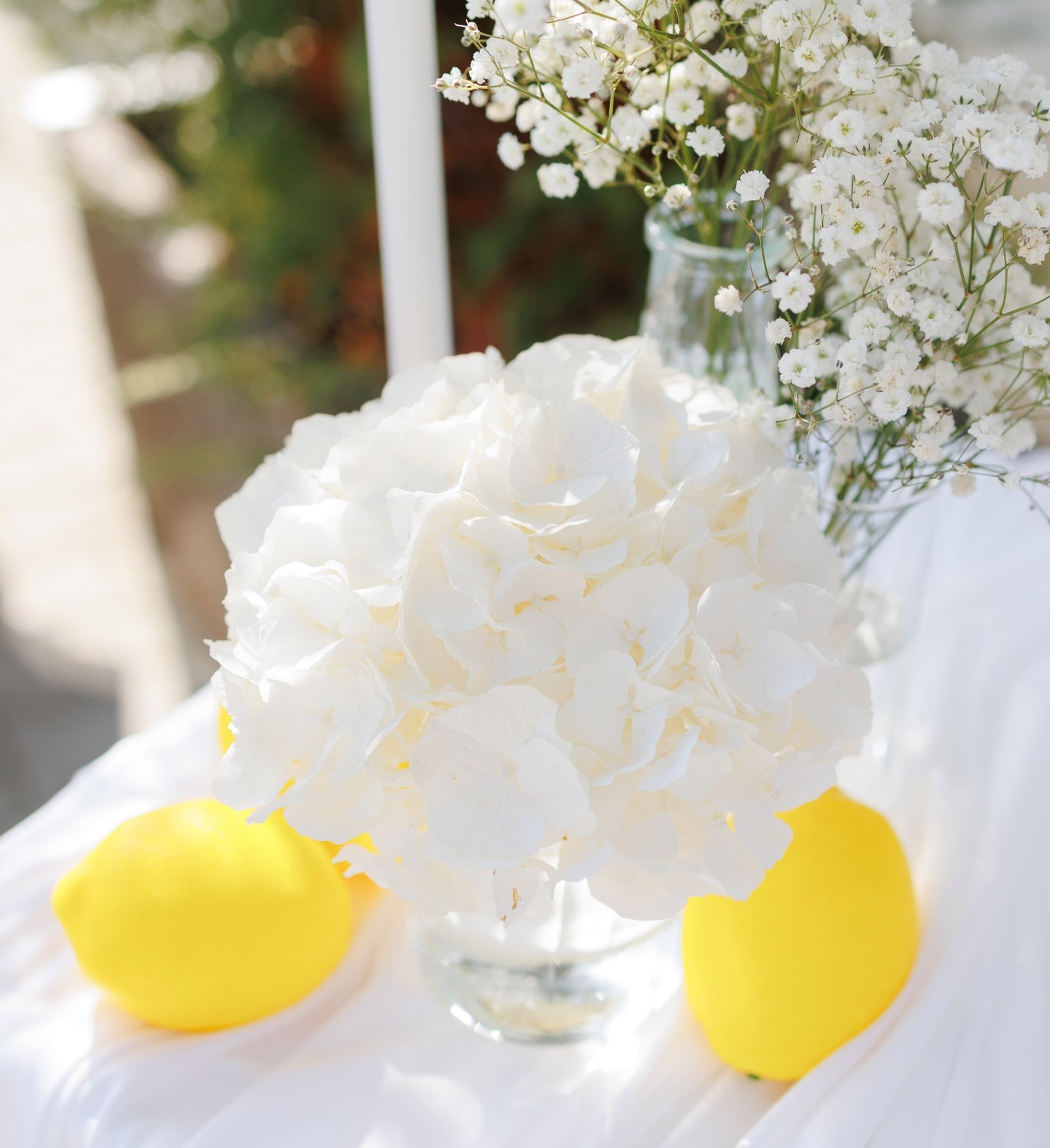 Lemonade Cart pentru Evenimente